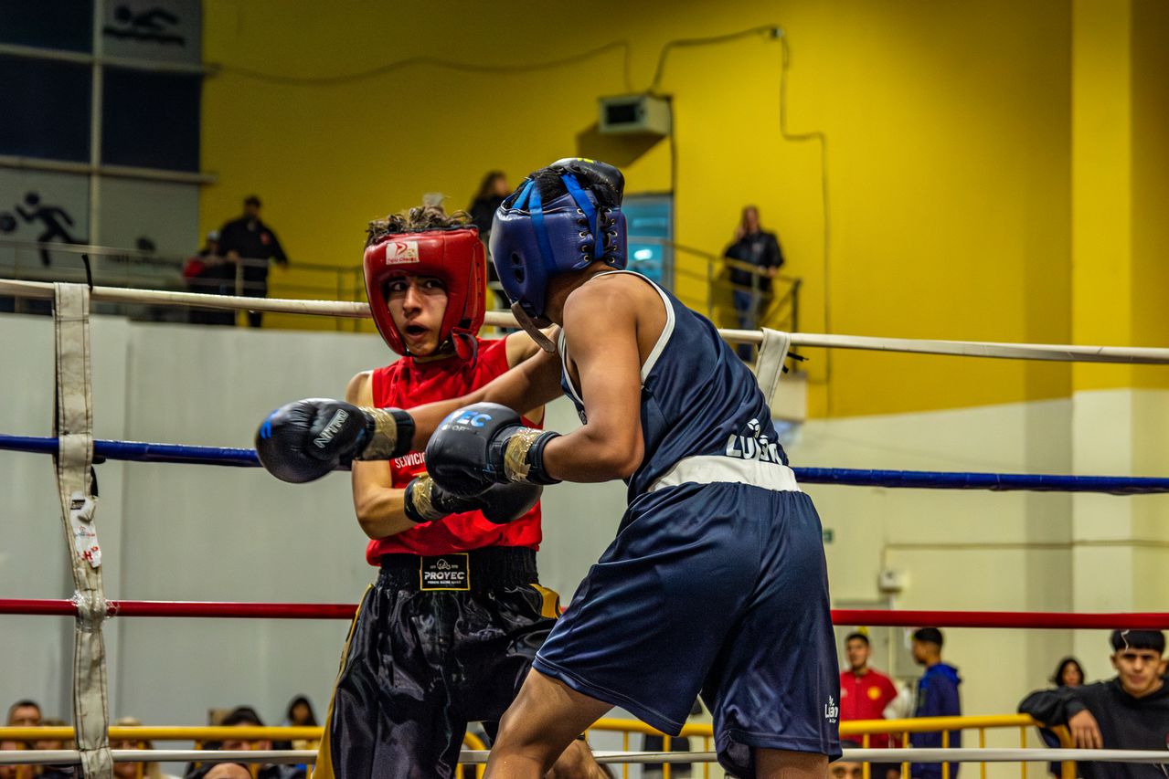 Boxeo